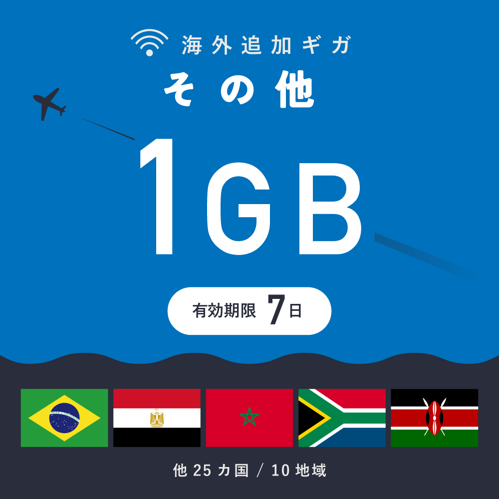 その他（ラテン＆アフリカ）1GB（7日間）ギガチャージ