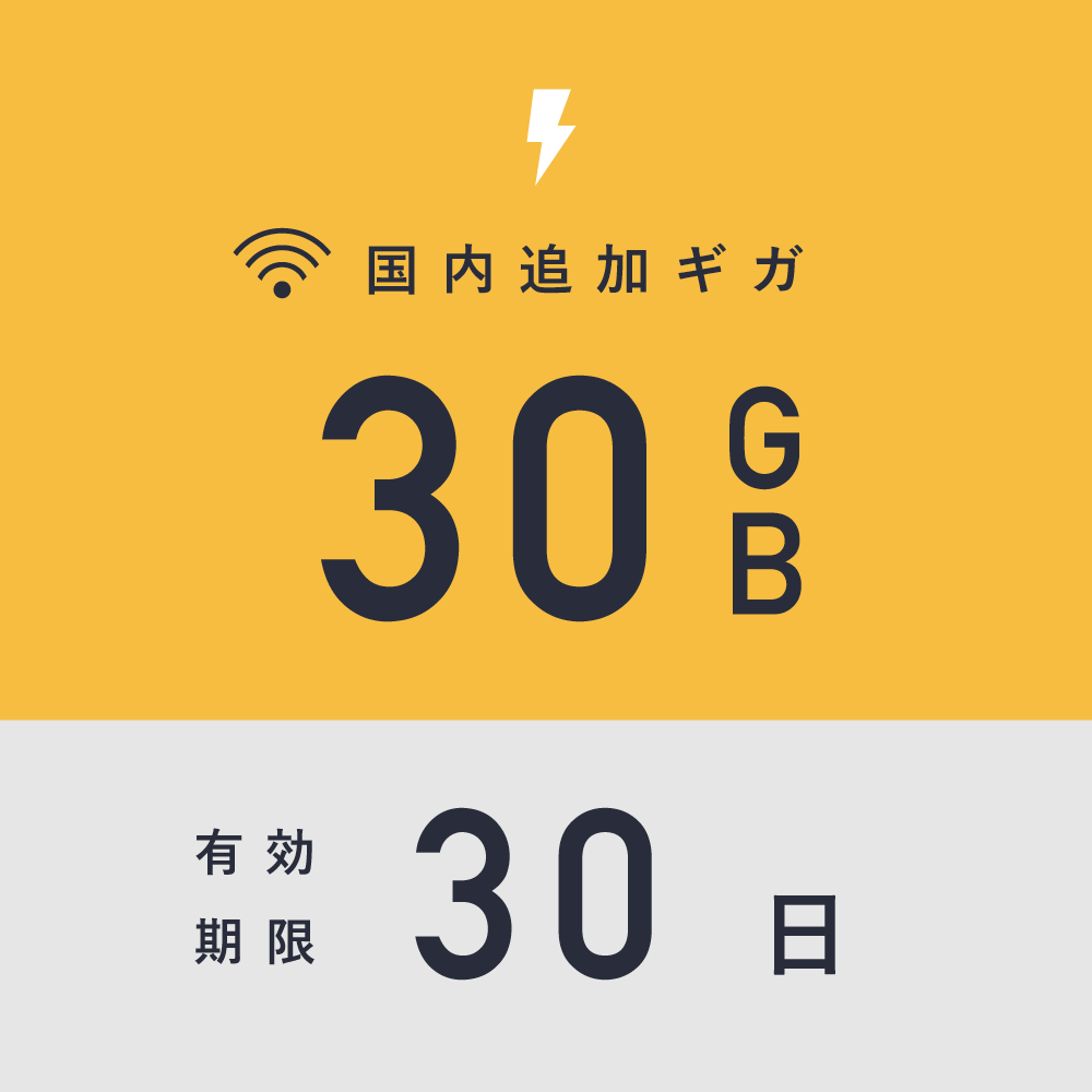 国内追加ギガチャージ_30ギガ_30日